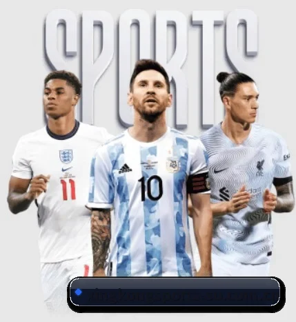 五大服务分区,信息按项目分类 - STAR SPORTS